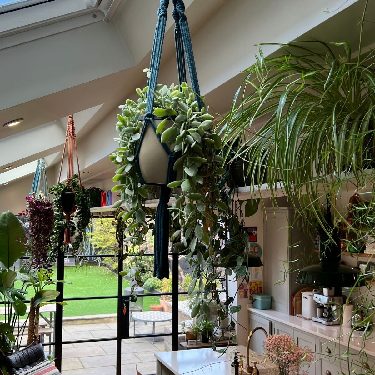 Plant Hangers are a great way to add character, colour and plants to your home. This picture shows three of our macramé plant hangers being hung in a kitchen setting