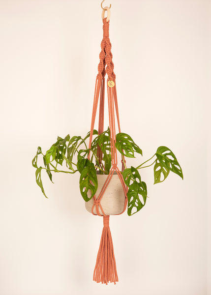 Modern, eco friendly macramé Plant Hanger in Terracotta, Twisted knot style in maxi length (c95cm). Handmade from 100% recycled cotton, with a free brass hanging hook and beautiful eco-friendly gift box. Perfect gift for plant lovers