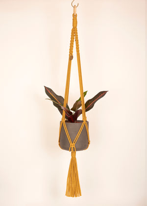 Stylish and eco-conscious Maxi Plant Hanger in Mustard, handmade in UK from 100% recycled cotton, with a free hook and gift options
