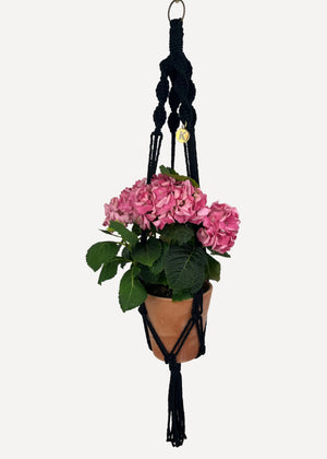 Black Outdoor Plant Hanger handmade from 100% cotton and treated with eco-friendly waterproof spray, shown here with a Hydrangea