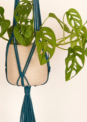 Close up of Peacock Blue macramé Plant Hanger, handmade from 100% recycled cotton