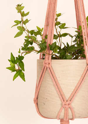 Set of 3 Macramé Plant Hangers: Plaster Pink, Mustard & Enamel Blue
