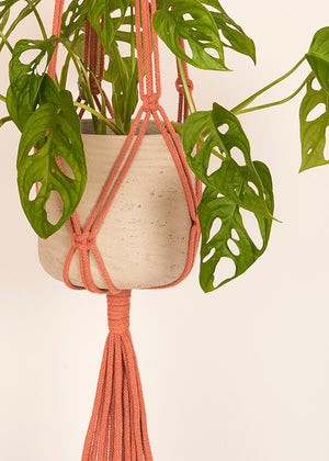 Close up of Terracotta macramé Plant Hanger, handmade from 100% recycled cotton
