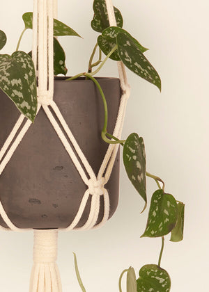 Stylish and eco-conscious Plant Hanger in Vanilla, handmade in UK from 100% recycled cotton, with a free hook and gift options