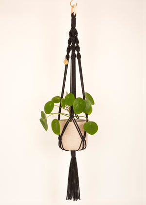 Modern, eco friendly macramé Plant Hanger in Charcoal Black, Twisted knot style in Maxi length (c95cm). Handmade from 100% recycled cotton, with a free brass hanging hook and beautiful eco-friendly gift box. Perfect gift for plant lovers.