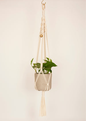 Modern, eco friendly macramé Plant Hanger in Vanilla, Twisted knot style in maxi length (c95cm). Handmade from 100% recycled cotton, with a free brass hanging hook and beautiful eco-friendly gift box. Perfect gift for plant lovers