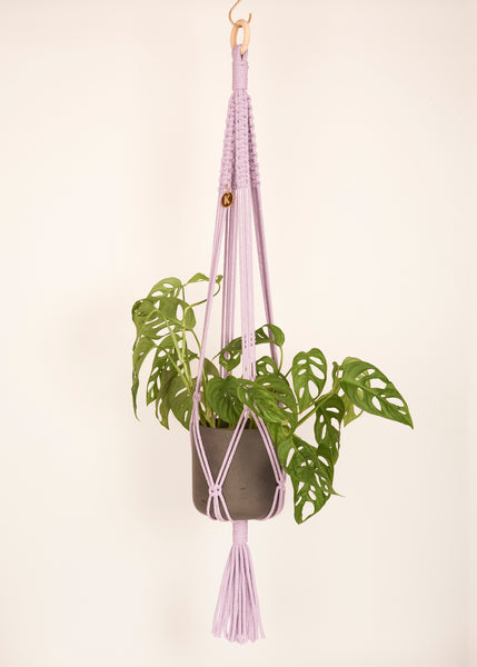 Free Brass Hanging Hook with Knotted Plant Hangers