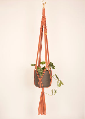 Modern, eco friendly macramé Plant Hanger in Terracotta, Block knot style in maxi length (c95cm). Handmade from 100% recycled cotton, with a free brass hanging hook and beautiful eco-friendly gift box. Perfect gift for plant lovers