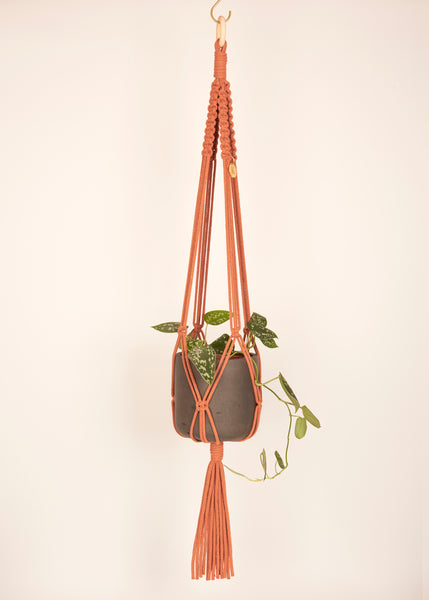 Knotted eco-friendly gift box, made from recycled content and fully recyclable. Every Knotted Plant Hanger also comes with a free brass hanging hook and gift card that we can write your gift message on.