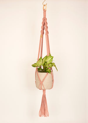 Modern, eco friendly macramé Plant Hanger in Plaster Pink, Twisted knot style in maxi length (c95cm). Handmade from 100% recycled cotton, with a free brass hanging hook and beautiful eco-friendly gift box. Perfect gift for plant lovers.