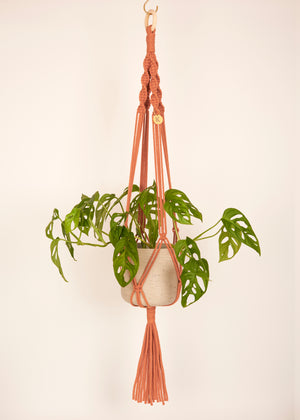 Stylish and eco-conscious Maxi Plant Hanger in Teracotta, handmade in UK from 100% recycled cotton, with a free hook and gift options