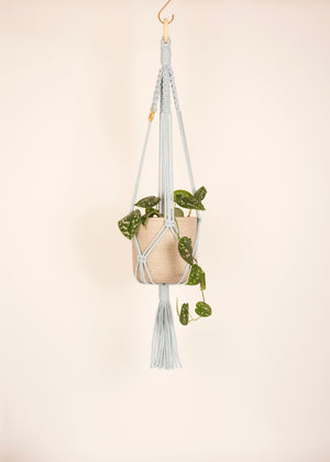 Modern, eco friendly macramé Plant Hanger in China Blue, Block knot style in midi length (c75cm). Handmade from 100% recycled cotton, with a free brass hanging hook and beautiful eco-friendly gift box. Perfect gift for plant lovers