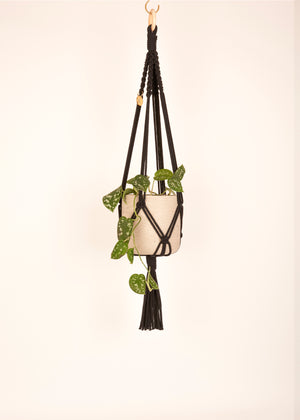 Modern, eco friendly macramé Plant Hanger in Charcoal Black, Block knot style in midi length (c75cm). Handmade from 100% recycled cotton, with a free brass hanging hook and beautiful eco-friendly gift box. Perfect gift for plant lovers.