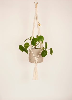 Modern, eco friendly macramé Plant Hanger in Vanilla, Block knot style in midi length (c75cm). Handmade from 100% recycled cotton, with a free brass hanging hook and beautiful eco-friendly gift box. Perfect gift for plant lovers