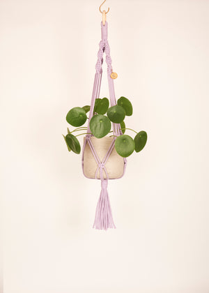 Modern, eco friendly macramé Plant Hanger in Lavender, Twisted knot style in midi length (c75cm). Handmade from 100% recycled cotton, with a free brass hanging hook and beautiful eco-friendly gift box. Perfect gift for plant lovers