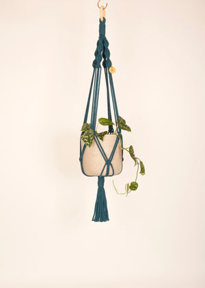 Modern, eco friendly macramé Plant Hanger in Peacock Blue, Twisted knot style in midi length (c75cm). Handmade from 100% recycled cotton, with a free brass hanging hook and beautiful eco-friendly gift box. Perfect gift for plant lovers