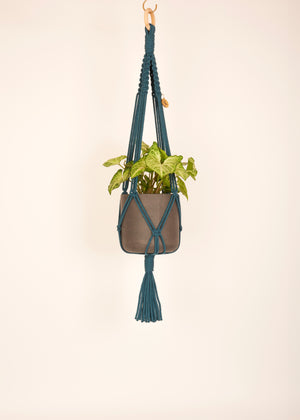 Modern, eco friendly macramé Plant Hanger in Peacock Blue, Block knot style in midi length (c75cm). Handmade from 100% recycled cotton, with a free brass hanging hook and beautiful eco-friendly gift box. Perfect gift for plant lovers