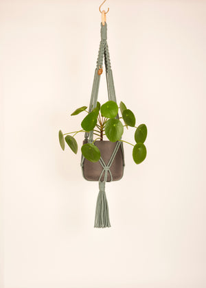 Stylish and eco-conscious Midi Plant Hanger in Sage, handmade in UK from 100% recycled cotton, with a free hook and gift options