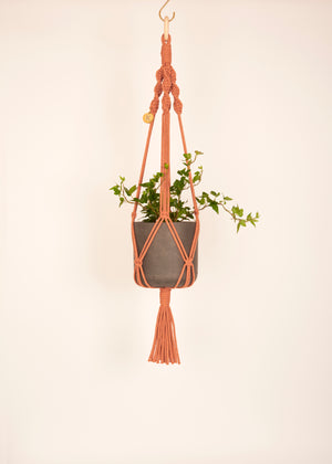 Modern, eco friendly macramé Plant Hanger in Terracotta, Twisted knot style in midi length (c75cm). Handmade from 100% recycled cotton, with a free brass hanging hook and beautiful eco-friendly gift box. Perfect gift for plant lovers