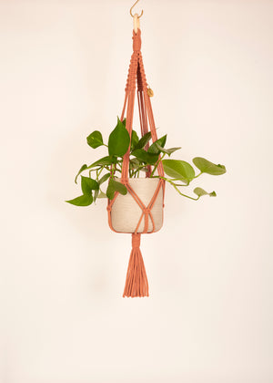 Modern, eco friendly macramé Plant Hanger in Terracotta, Block knot style in midi length (c75cm). Handmade from 100% recycled cotton, with a free brass hanging hook and beautiful eco-friendly gift box. Perfect gift for plant lovers