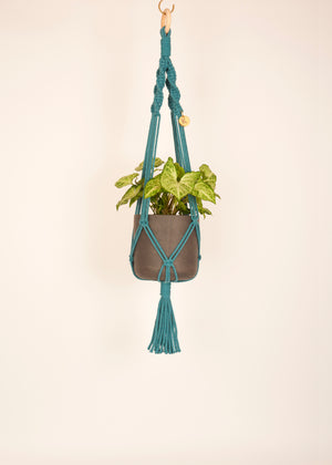 Modern, eco friendly macramé Plant Hanger in Enamel Blue, Twisted knot style in midi length (c75cm). Handmade from 100% recycled cotton, with a free brass hanging hook and beautiful eco-friendly gift box. Perfect gift for plant lovers