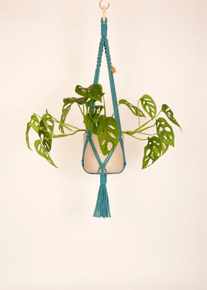 Modern, eco friendly macramé Plant Hanger in Enamel Blue, Block knot style in midi length (c75cm). Handmade from 100% recycled cotton, with a free brass hanging hook and beautiful eco-friendly gift box. Perfect gift for plant lovers.