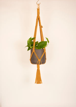 Stylish and eco-conscious Midi Plant Hanger in Mustard, handmade in UK from 100% recycled cotton, with a free hook and gift options