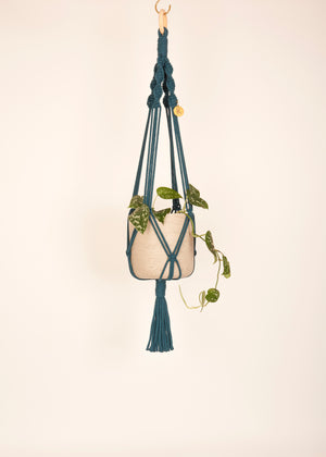 Stylish and eco-conscious Midi Plant Hanger in Peacock, handmade in UK from 100% recycled cotton, with a free hook and gift options