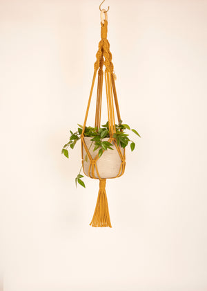 Modern, eco friendly macramé Plant Hanger in Mustard, Twisted knot style in midi length (c75cm). Handmade from 100% recycled cotton, with a free brass hanging hook and beautiful eco-friendly gift box. Perfect gift for plant lovers