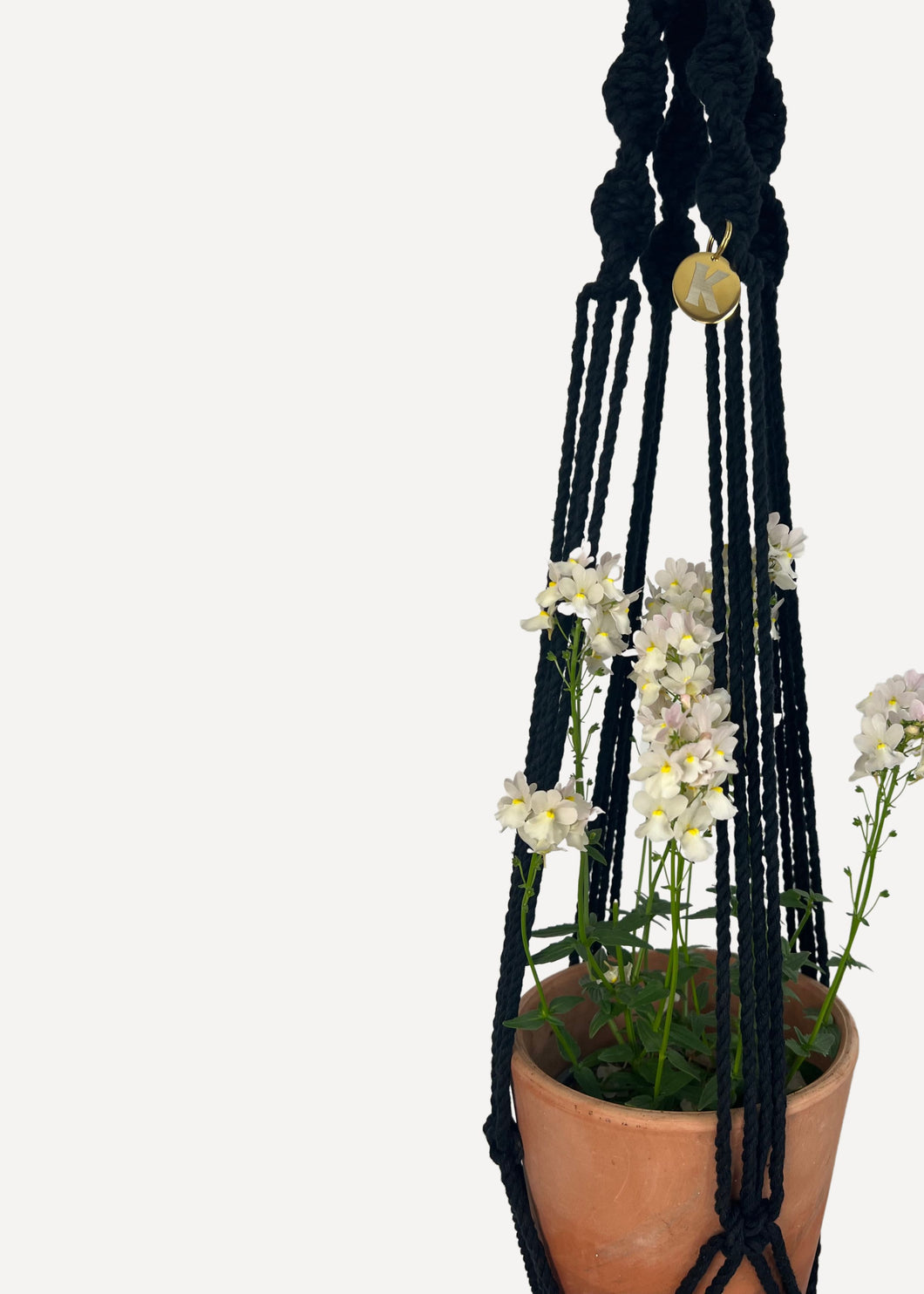 Black Outdoor Plant Hanger handmade from 100% cotton and treated with eco-friendly waterproof spray, shown here with a Nemesia