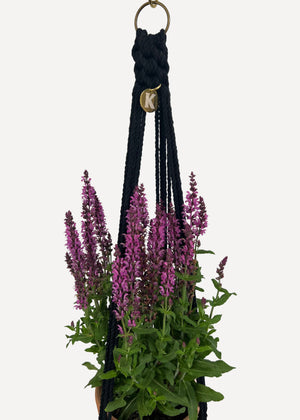 Black Outdoor Plant Hanger handmade from 100% cotton and treated with eco-friendly waterproof spray, shown here with a Salvia