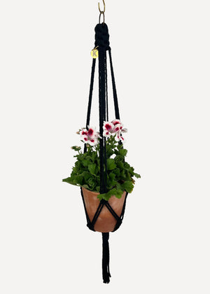 Black Outdoor Plant Hanger handmade from 100% cotton and treated with eco-friendly waterproof spray, shown here with a Pelargonium
