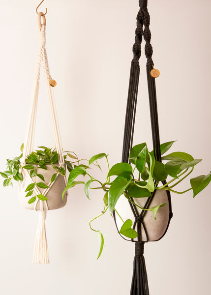 Modern, eco friendly set of 2 macramé Plant Hangers in Charcoal Black, Twisted knot style in maxi length (c95cm) and Vanilla, Block knot style in midi length (c.75cm). Handmade from 100% recycled cotton, with free brass hanging hooks and beautiful eco-friendly gift box. Perfect gift for plant lovers