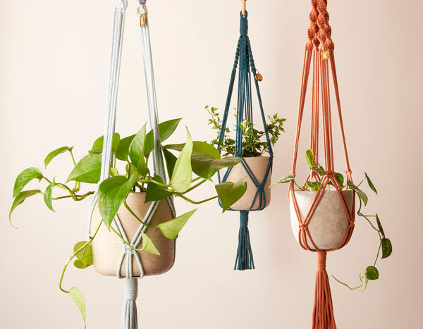 Stylish and eco-conscious set of 3 Plant Hangers in China Blue, Peacock and Terracotta, handmade in UK from 100% recycled cotton, with free brass hooks and gift options