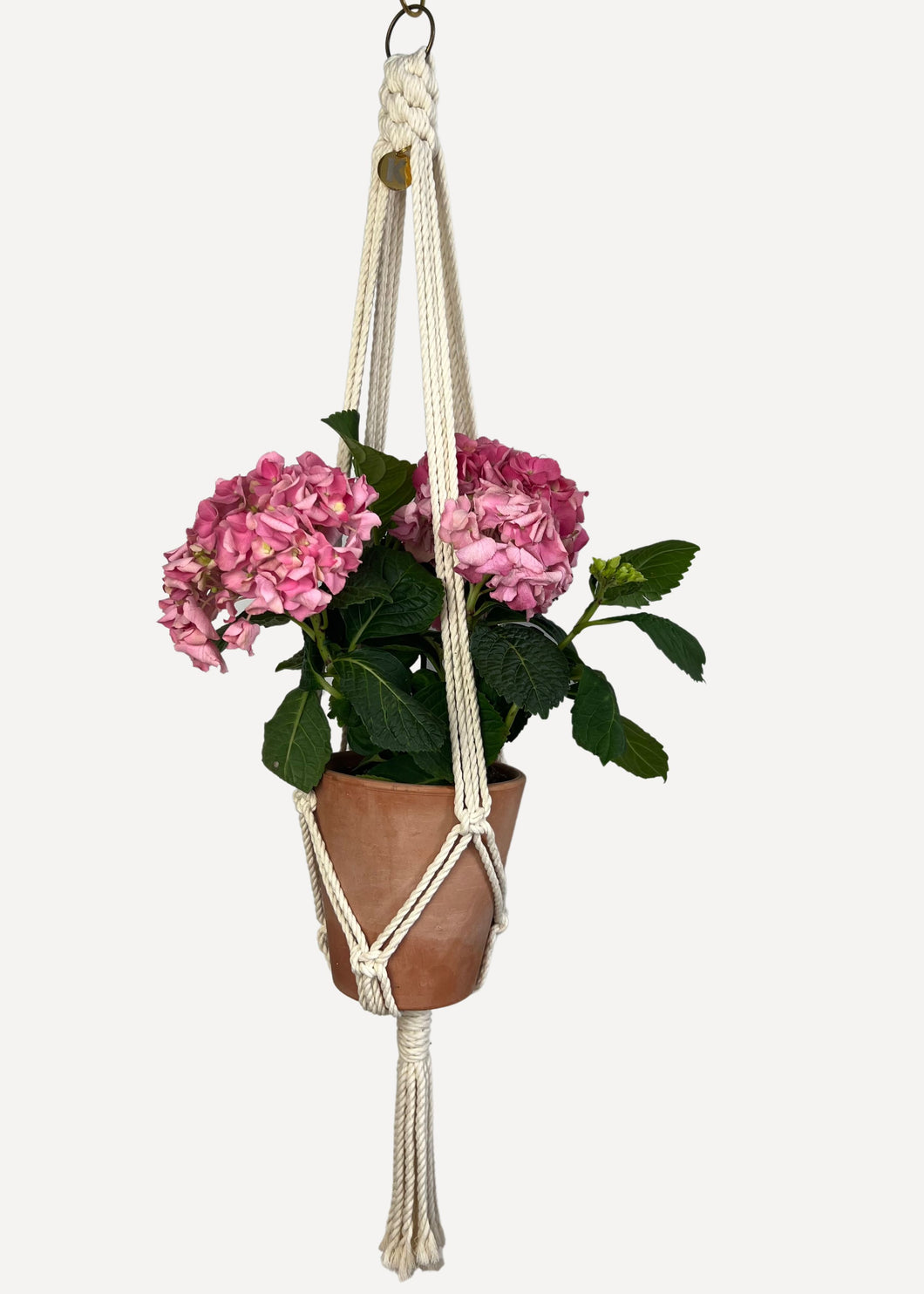 Cream Outdoor Plant Hanger handmade from 100% cotton and treated with eco-friendly waterproof spray, shown here with a Hydrangea