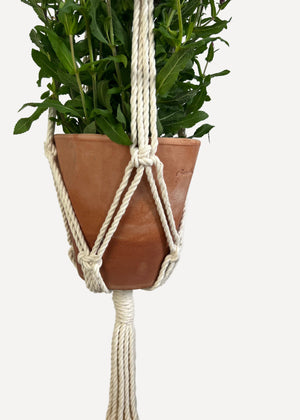 Cream Outdoor Plant Hanger handmade from 100% cotton and treated with eco-friendly waterproof spray