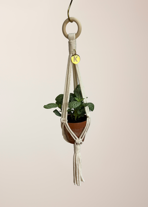 Style 1 of 3 featured in set of 3 MINI plant hangers. Perfect for propagation, small spaces and small pots. Made from 100% recycled cotton, approx 50cm length. The set includes 3 different styles and is available in  9 different colours. Comes with 3 brass hanging hooks and gift-boxed.