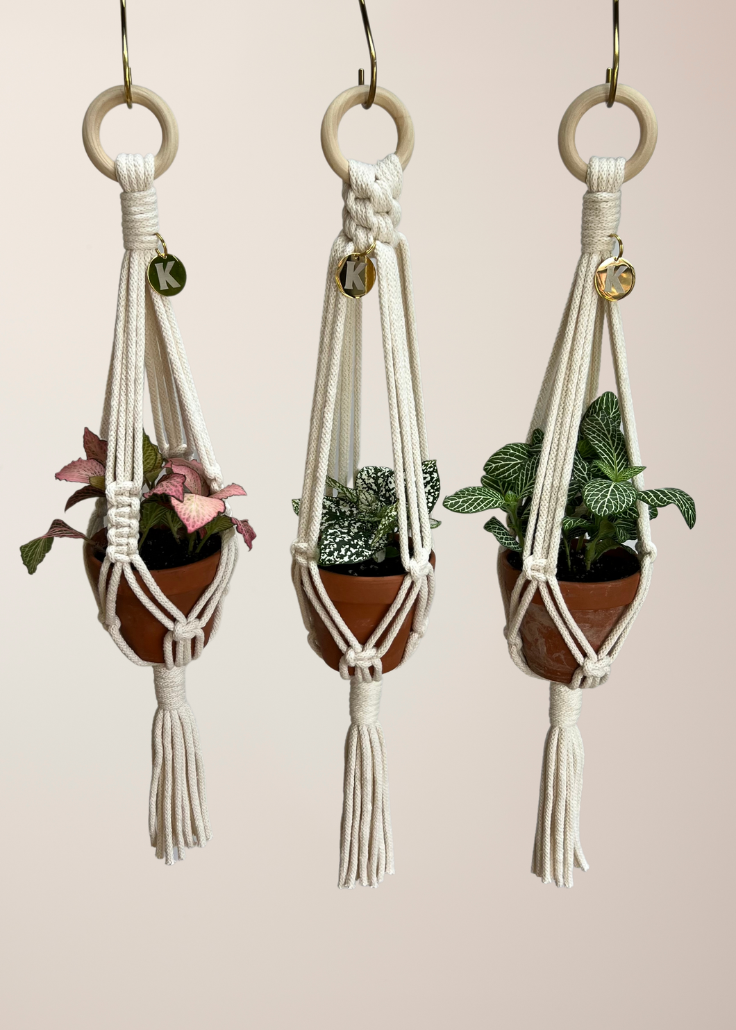 Set of 3 MINI plant hangers. Perfect for propagation, small spaces and small pots. Made from 100% recycled cotton, approx 50cm length. The set includes 3 different styles and is available in  9 different colours. Comes with 3 brass hanging hooks and gift-boxed.