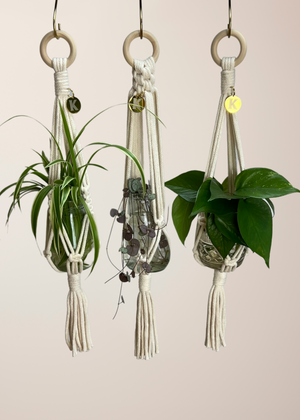 Set of 3 MINI plant hangers. Perfect for propagation, small spaces and small pots. Made from 100% recycled cotton, approx 50cm length. The set includes 3 different styles and is available in  9 different colours. Comes with 3 brass hanging hooks and gift-boxed.