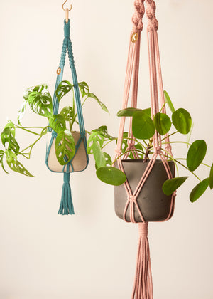 Modern, eco friendly set of 2 macramé Plant Hangers in Plaster Pink, Twisted knot style in maxi length (c95cm) and Enamel Blue in Block knot style in midi length (c.75cm). Handmade from 100% recycled cotton, with free brass hanging hooks and beautiful eco-friendly gift box. Perfect gift for plant lovers