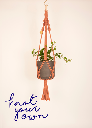 Terracotta Make Your Own Plant Hanger Kit