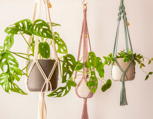 Stylish and eco-conscious set of 3 Plant Hangers in Vanilla, Plaster Pink & Sage, handmade in UK from 100% recycled cotton, with free brass hooks and gift options