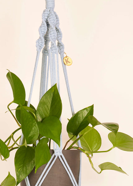 Modern, eco friendly macramé Plant Hanger in China Blue, Twisted knot style in midi length (c75cm). Handmade from 100% recycled cotton, with a free brass hanging hook and beautiful eco-friendly gift box. Perfect gift for plant lovers