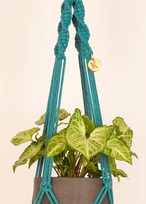 Modern, eco friendly macramé Plant Hanger in Enamel Blue, Twisted knot style in midi length (c75cm). Handmade from 100% recycled cotton, with a free brass hanging hook and beautiful eco-friendly gift box. Perfect gift for plant lovers.