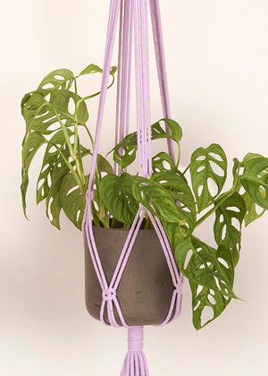 Close up of Lavender macramé Plant Hanger, handmade from 100% recycled cotton