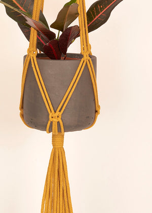 Close up of Mustard macramé Plant Hanger, handmade from 100% recycled cotton