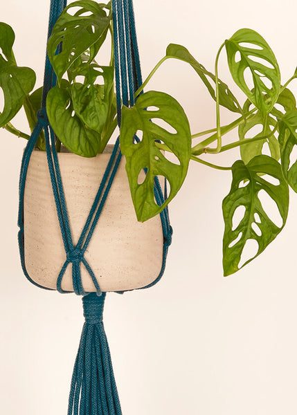 Every Knotted Plant Hanger comes in a beautiful eco friendly gift box, with a free brass hanging hook and gift card that we can write your gift message on for you