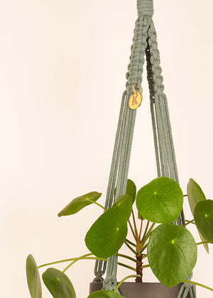 Stylish and eco-conscious Plant Hanger in Sage, handmade in UK from 100% recycled cotton, with a free hook and gift options