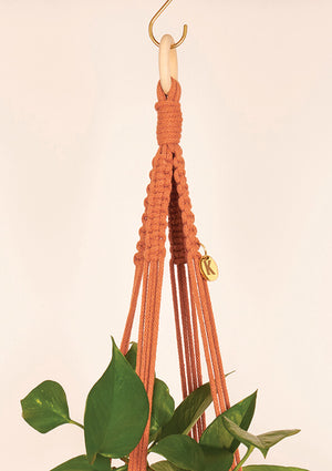 Close up of Block knot style macramé Plant Hanger in Terracotta, handmade from 100% recycled cotton
